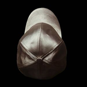 2/$15︱hats︱Shiny golden brown cap